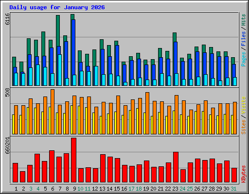 Daily usage for January 2026