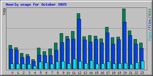 Hourly usage for October 2025