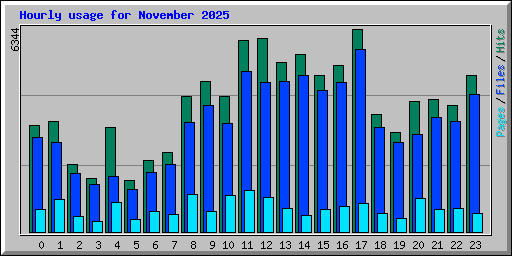 Hourly usage for November 2025