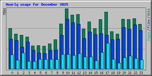 Hourly usage for December 2025