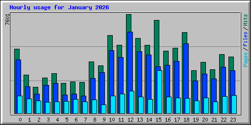 Hourly usage for January 2026