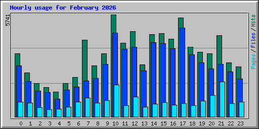 Hourly usage for February 2026