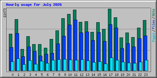 Hourly usage for July 2026