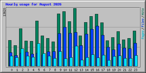 Hourly usage for August 2026